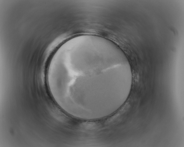 X0000113250294200910081325