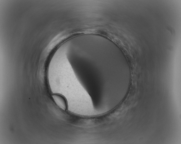 X0000113250295200910081325