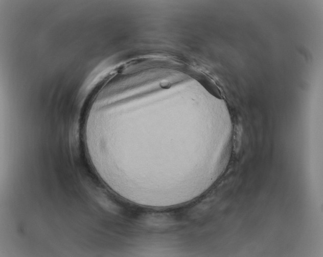 X0000113250296200910081324