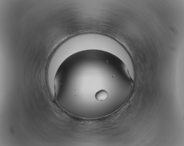 X0000113250297200910081324