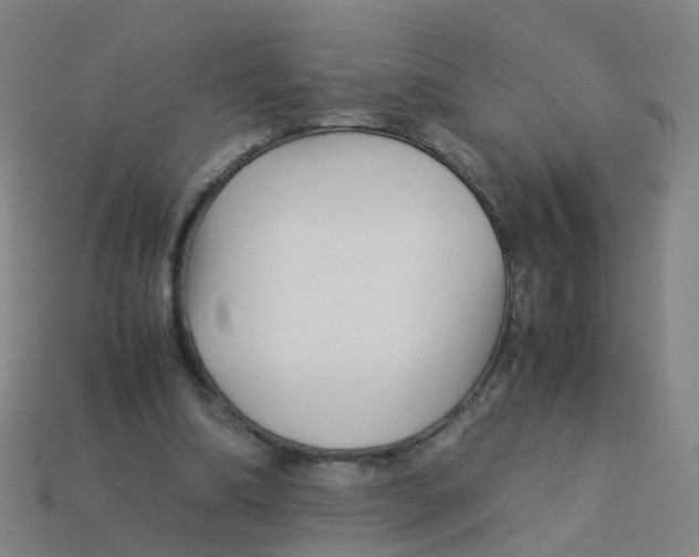 X0000113250298200910081324