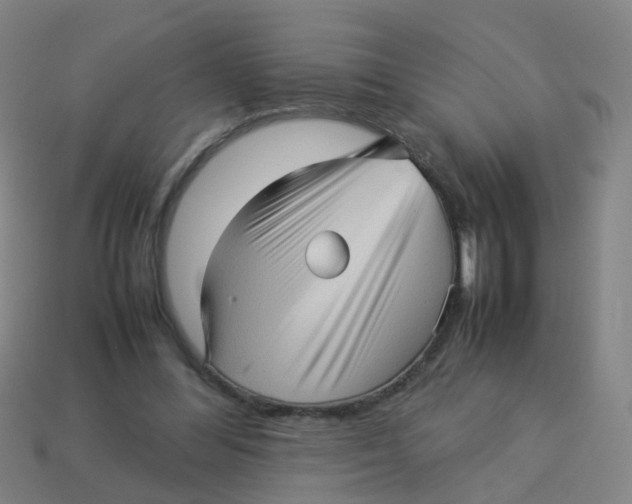 X0000113250300200910081324