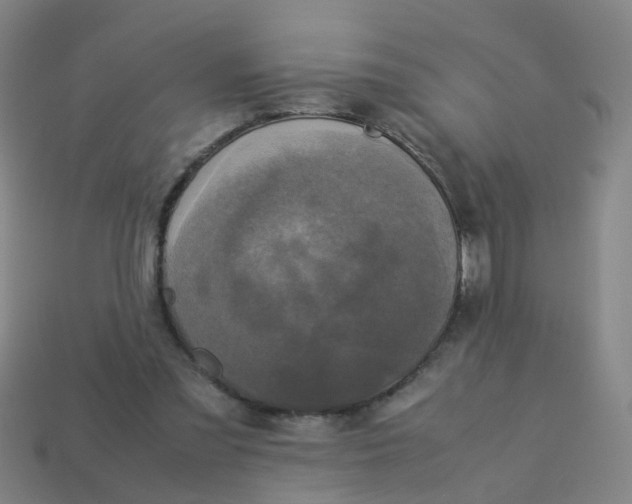 X0000113250301200910081324