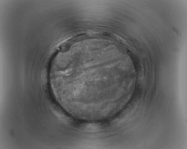 X0000113250303200910081324