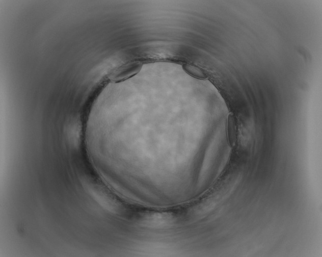 X0000113250304200910081324