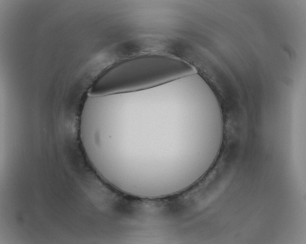 X0000113250305200910081324