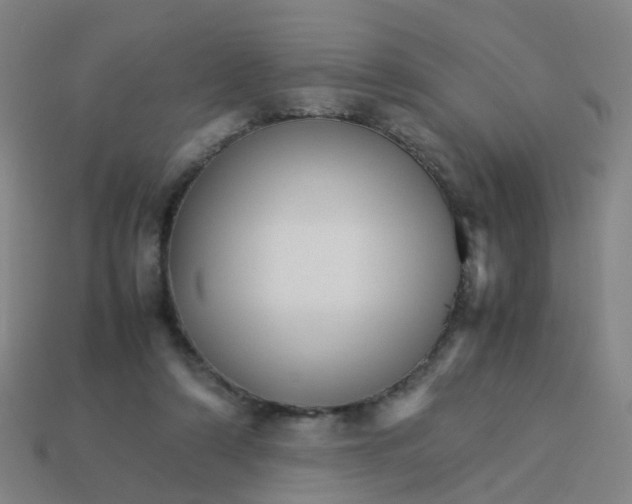 X0000113250306200910081324