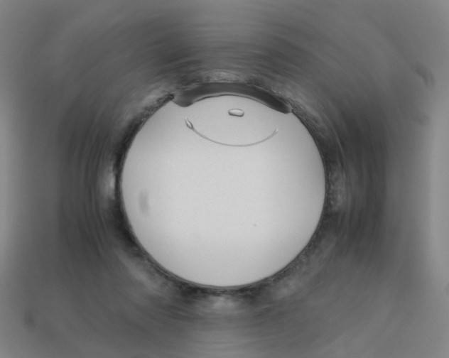 X0000113250310200910081324