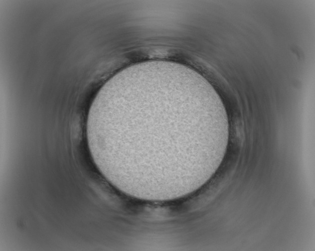 X0000113250311200910081324