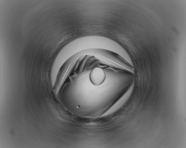 X0000113250312200910081324