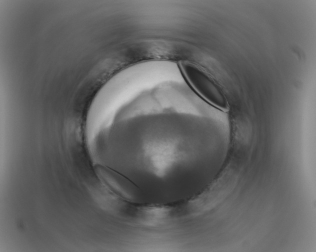 X0000113250313200910081324