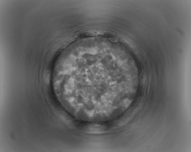 X0000113250315200910081324