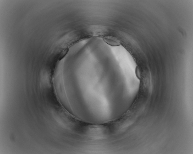 X0000113250316200910081324