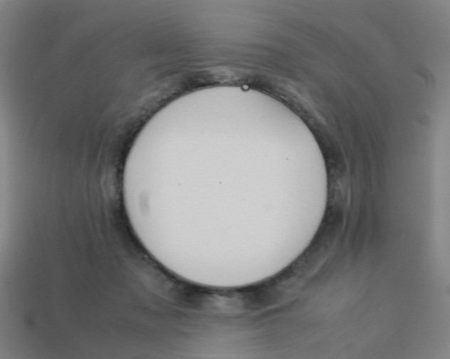 X0000113250317200910081324