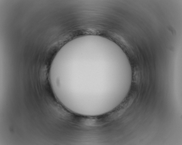 X0000113250318200910081324