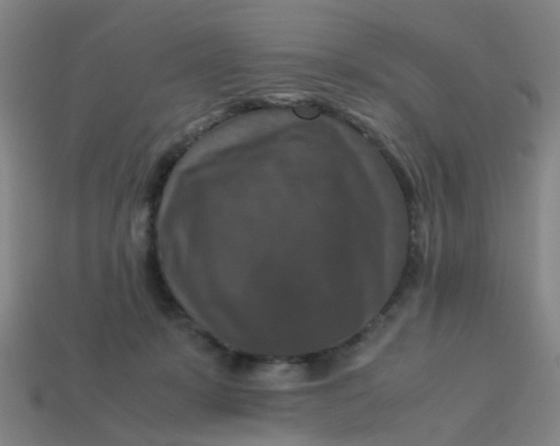 X0000113250319200910081324