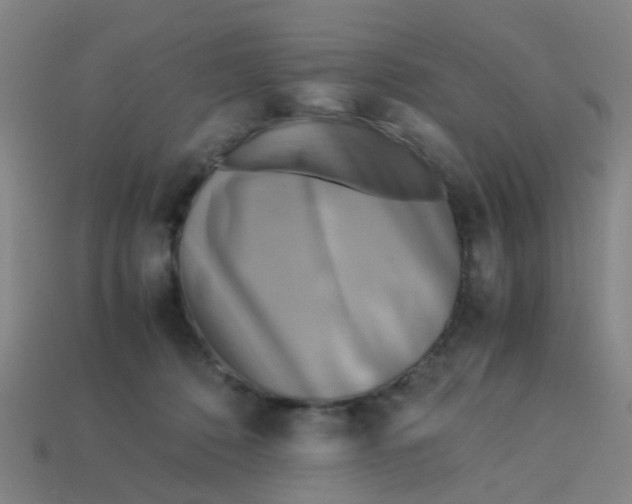 X0000113250320200910081324