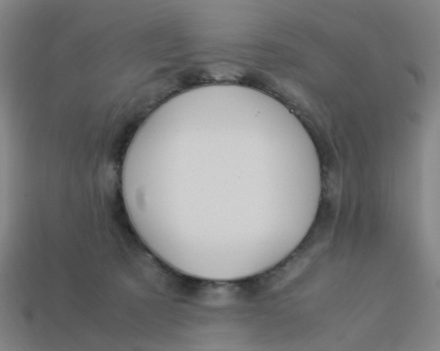 X0000113250321200910081324