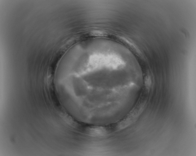 X0000113250322200910081324