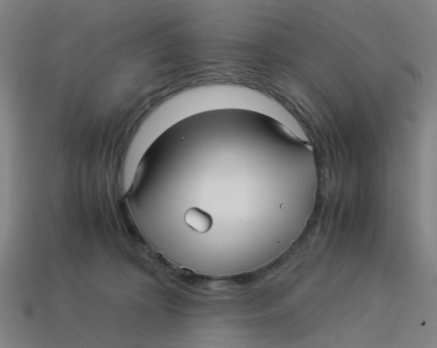 X0000113250324200910081324