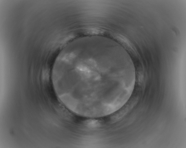 X0000113250326200910081324