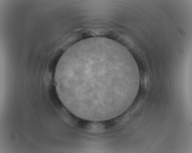 X0000113250327200910081324