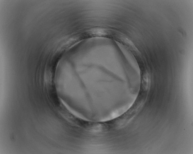 X0000113250330200910081324