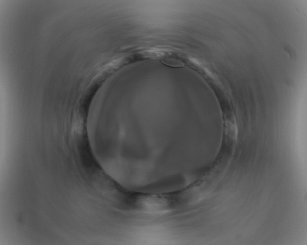 X0000113250331200910081324