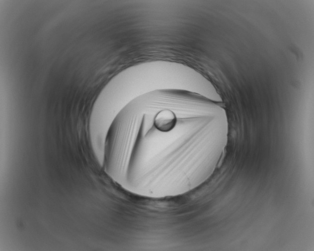 X0000113250332200910081324