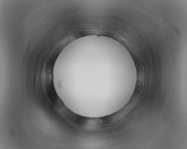 X0000113250334200910081324