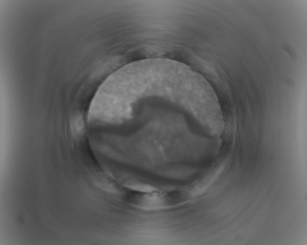 X0000113250335200910081324