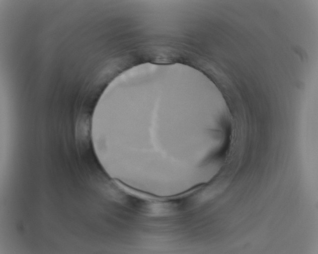 X0000113250336200910081324