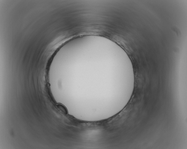 X0000113250338200910081323