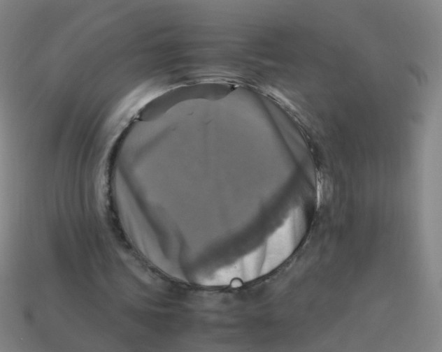 X0000113250339200910081323