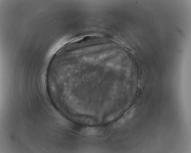 X0000113250341200910081323