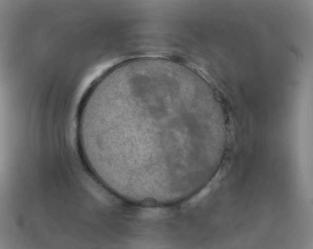 X0000113250342200910081323