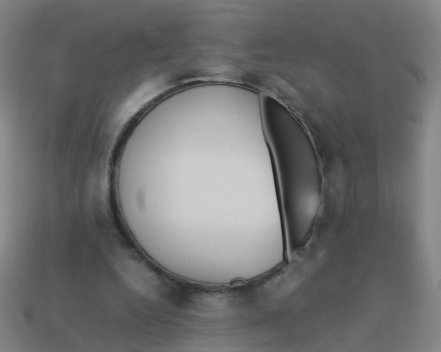 X0000113250344200910081323