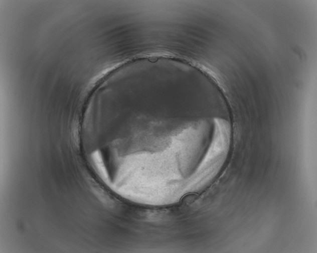 X0000113250345200910081323