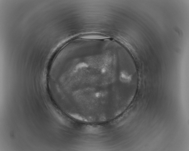 X0000113250346200910081323