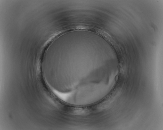 X0000113250347200910081323