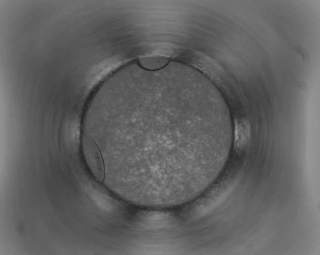 X0000113250348200910081323