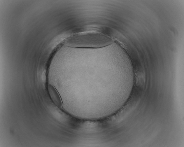 X0000113250350200910081323