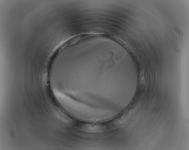 X0000113250351200910081323