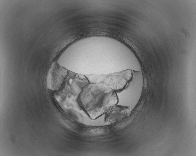 X0000113250353200910081323