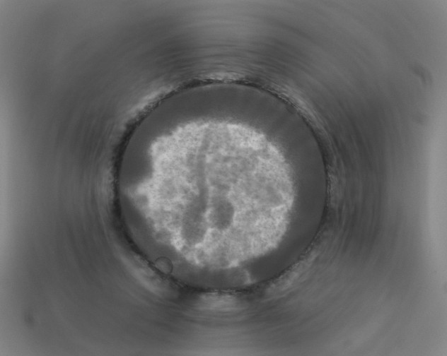 X0000113250354200910081324