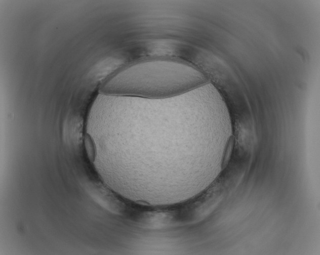 X0000113250356200910081324