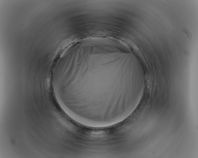 X0000113250357200910081324