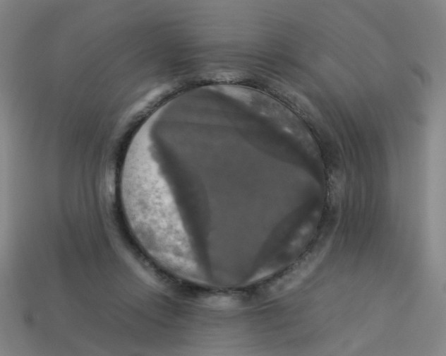 X0000113250358200910081324