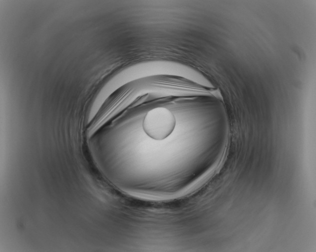 X0000113250360200910081324