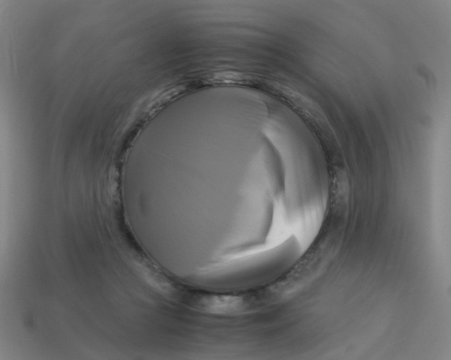 X0000113250361200910081324